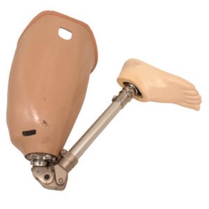 Prosthetic Leg Ossur Bulldog Left Leg&Foot Build Size 10