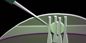 Read more about the article Soft Photonic Switch Could Drive All‑Optical Logic