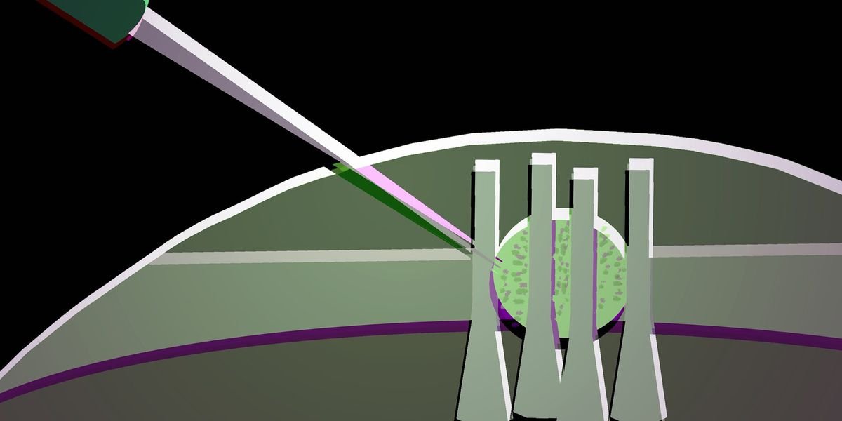Read more about the article Soft Photonic Switch Could Drive All‑Optical Logic