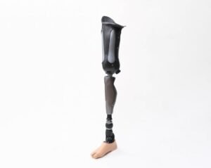 Read more about the article Prosthetic Legs for Sale